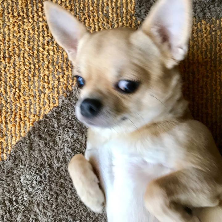 2a448b4f 77e8 4d23 b018 692c090c4da9