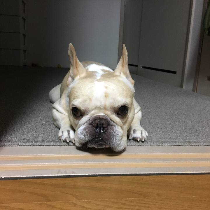 2a44a99f 4408 4d05 9fbd 934d5f254d43