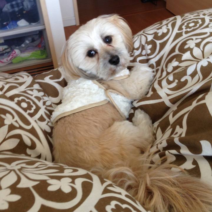 2a44dbc6 1eff 49eb 80b9 586e1e2b9d5b