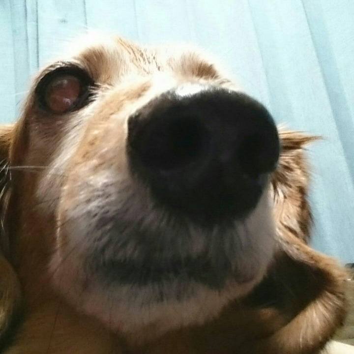 2a451e8b 416a 4e83 91a8 b9ceea0710db