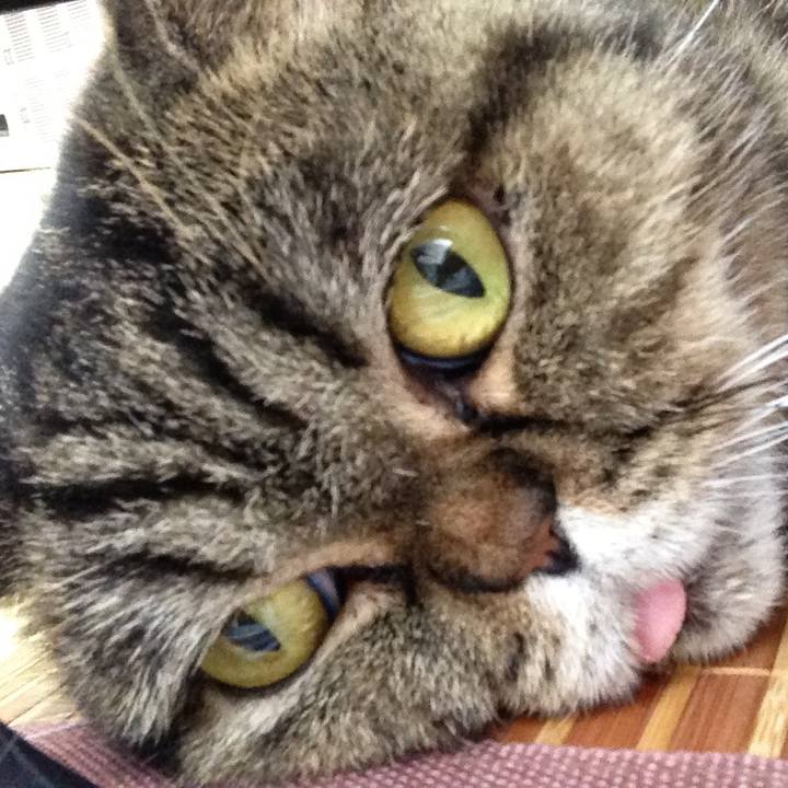 2a45f475 56b4 43c8 8c3e 4c2cfbcbe5a7