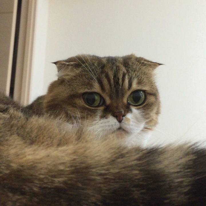 2a47aa0c d7be 474d ab5c 309d99465702