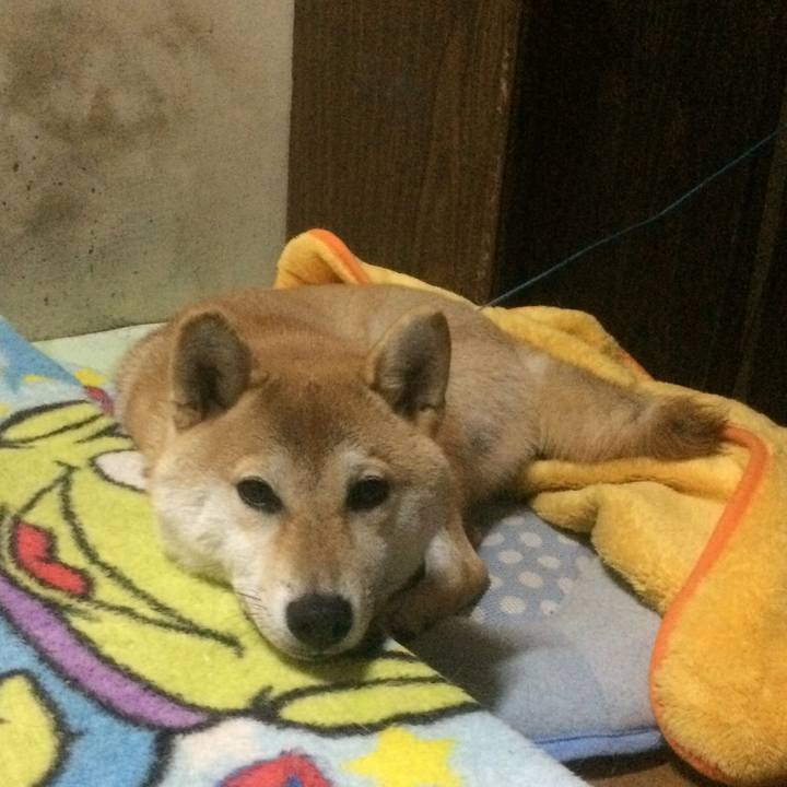 2a482525 2288 4fb3 a959 8aaaeb5da44b