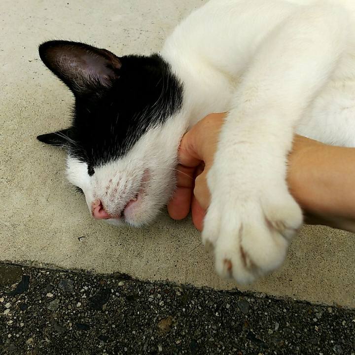 2a48c7ad 2979 41c4 850d 84cb9325fd42