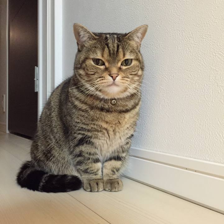 2a48e0e3 7215 4187 9fb8 f5ebfe38eef4