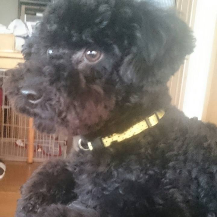 2a48ecfb b20c 4a9b 8322 ef3b329e7a99