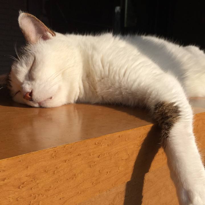 2a495084 aafb 4486 a97d 381fbf1548b8