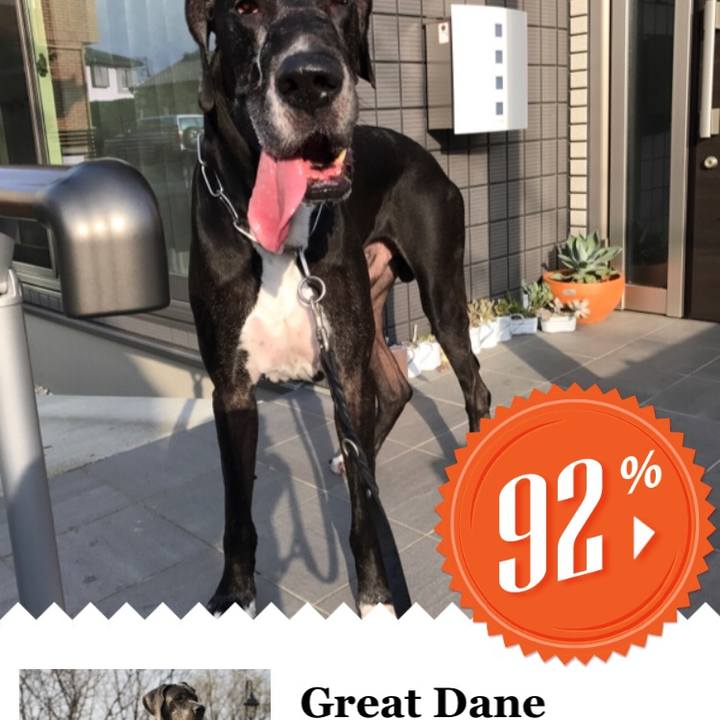 2a49e609 c7bf 417e 936d 465352bcb0ba