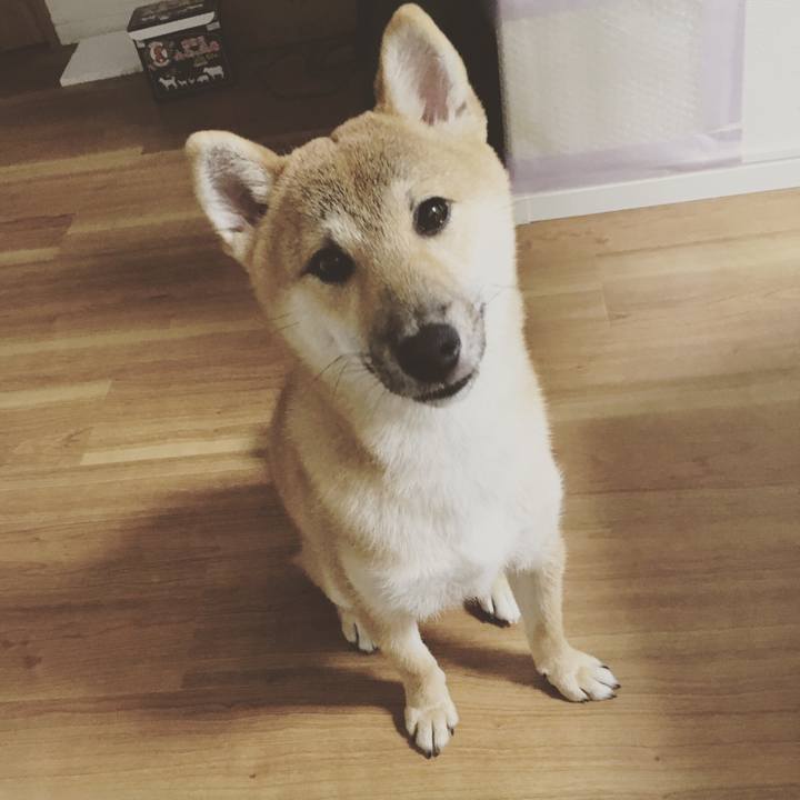 2a49eb89 4bd4 4d0b 9995 60dbc0527c0f