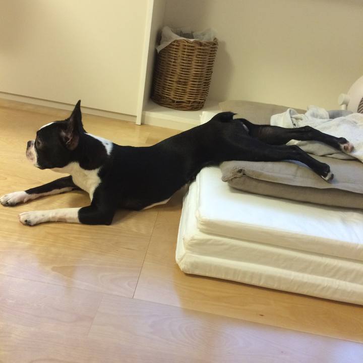 2a4a0ae9 6e92 4621 9d62 fe2fb2ed2ed6