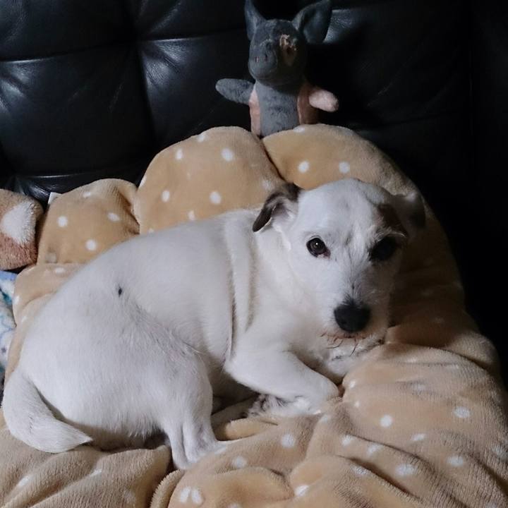 2a4b0132 64ad 4fc0 a803 4a3b8059698a