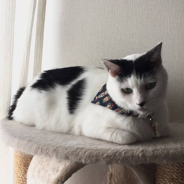 2a4b168a 3632 4cdf aab9 d48151c783f1