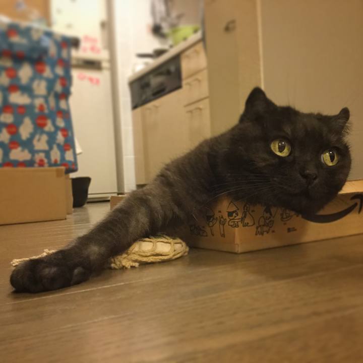 2a4b266f 8f65 4432 952a 89e6998a04de