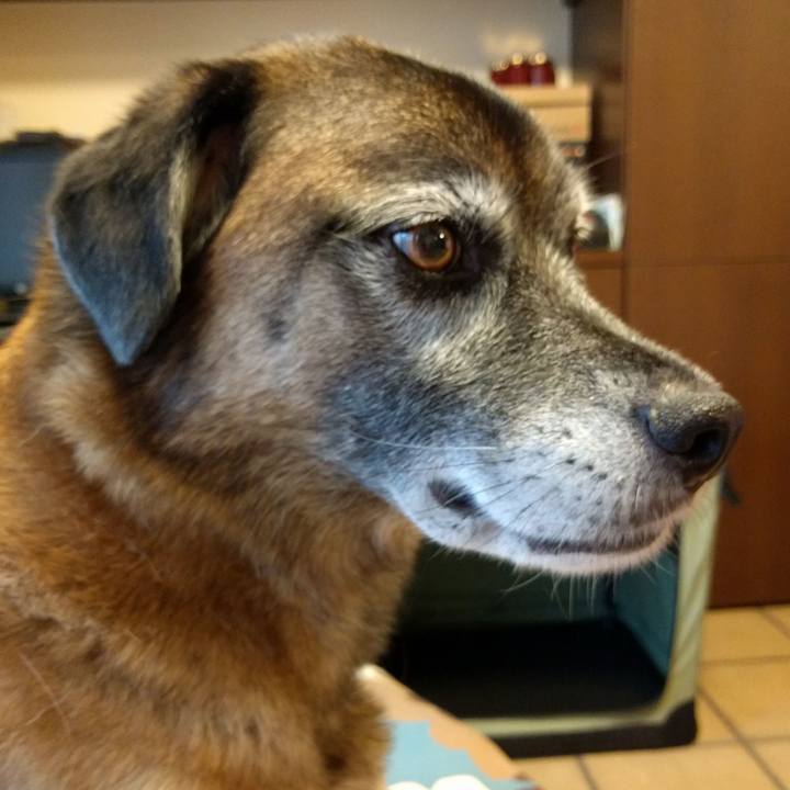 2a4b54e4 56b1 4fcd bb05 28cce3bc9c97