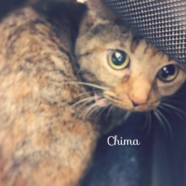 2a4c5f02 5c82 49f5 9f8d 37e8ab347f65