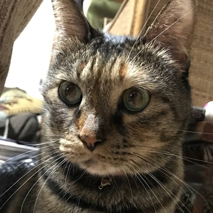 2a4c75c8 9074 4d34 8ee0 f88b312d6ed8