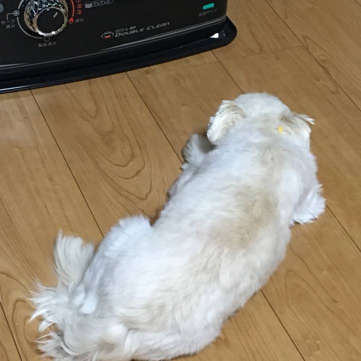 2a4ccfc9 98ef 45fd 8564 bb52f0c9e67a