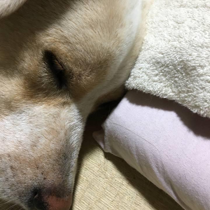 2a4dfc34 fe06 4c40 87c9 f878295af4bf