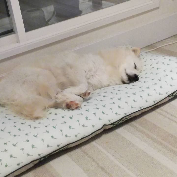 2a4ee31d eb99 410c 94f4 ac0a8321f2f6