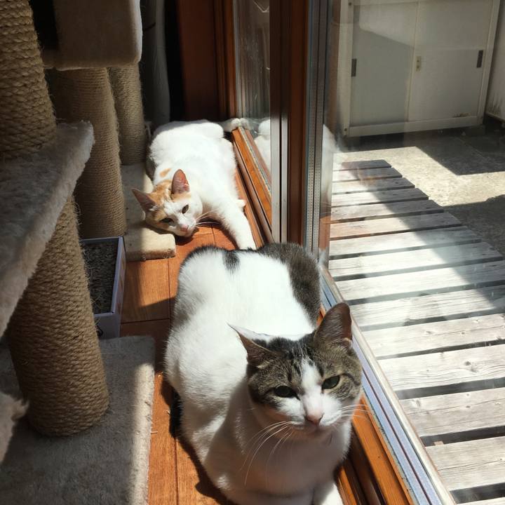 2a4ef92a fa3b 4bce ba7e 23894253a546