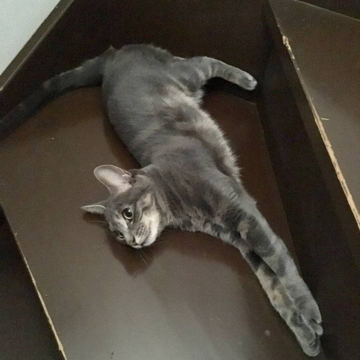 2a4f354a 5584 4d2e b21e e616589368c4