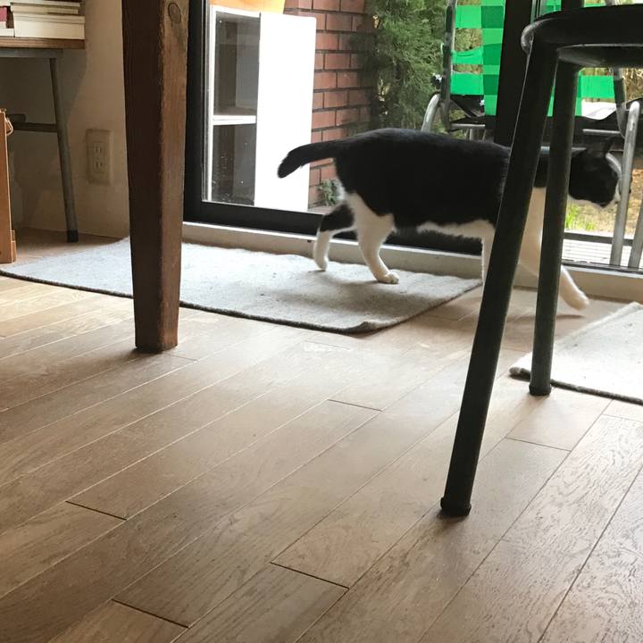 2a4fa544 947d 4464 8753 fe90af13b15a