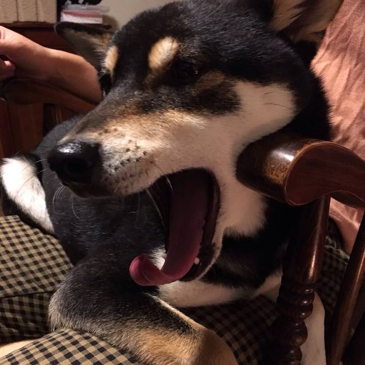 2a4fa88d f20c 4c31 9566 7ea6c7dba3aa