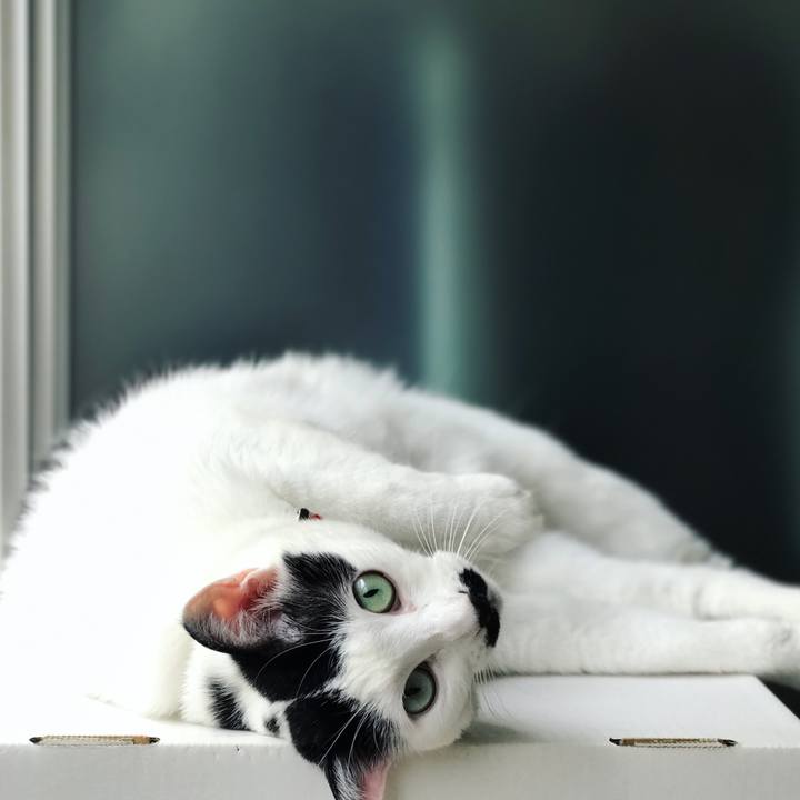 2a50b571 1b56 4f1c 8a4b 741d308f8fb6