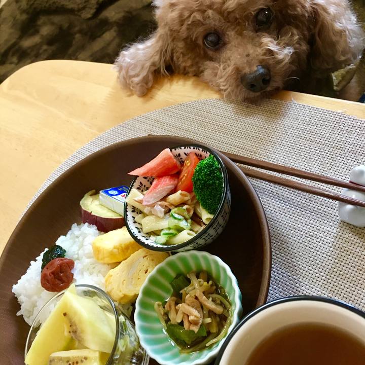 2a5109f1 b2ca 43ff baaa 4c31fc5ea55f