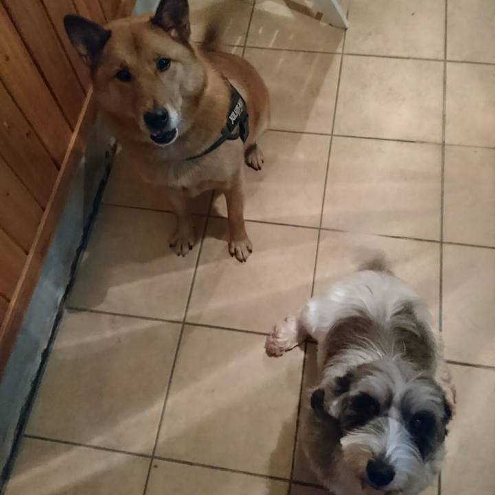 2a52833f 4d9f 4573 ad7e 355d7a43dcfa