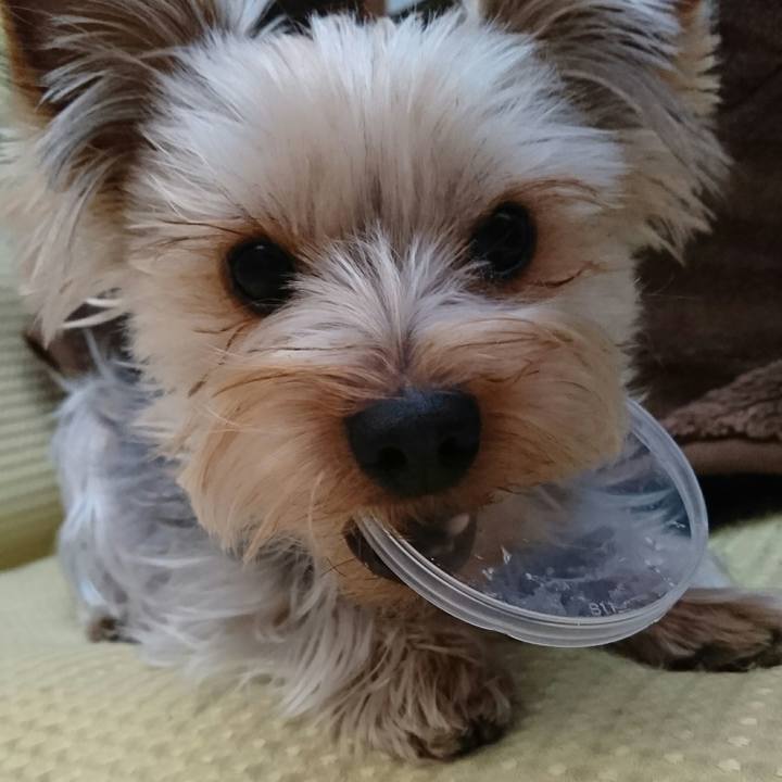 2a52ad38 093f 4d2d bf08 e302c53fce0e