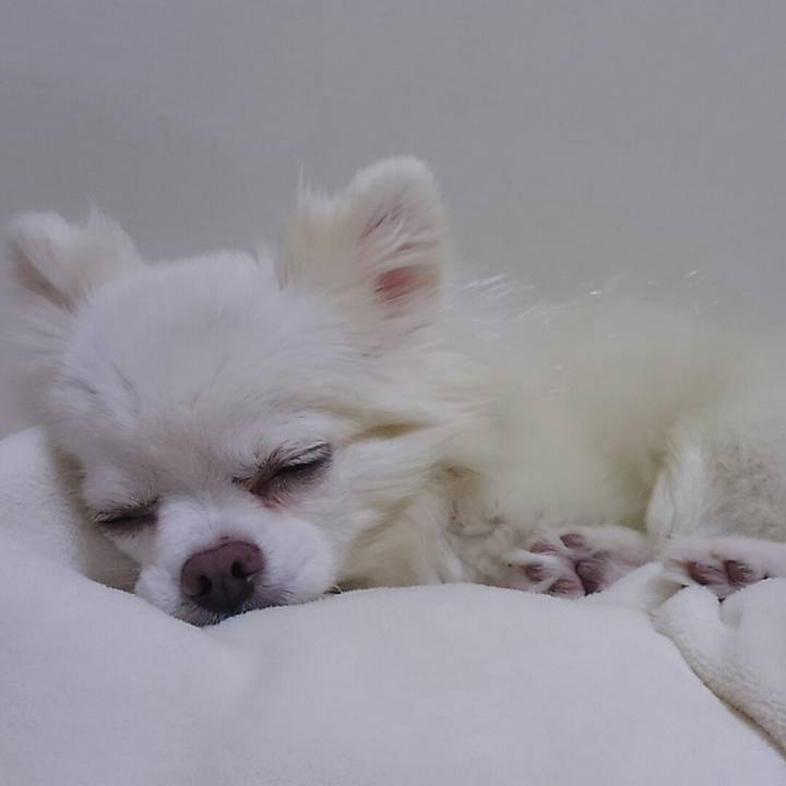 2a52d077 5280 4d6f 8dd5 cc1e5bd3874d