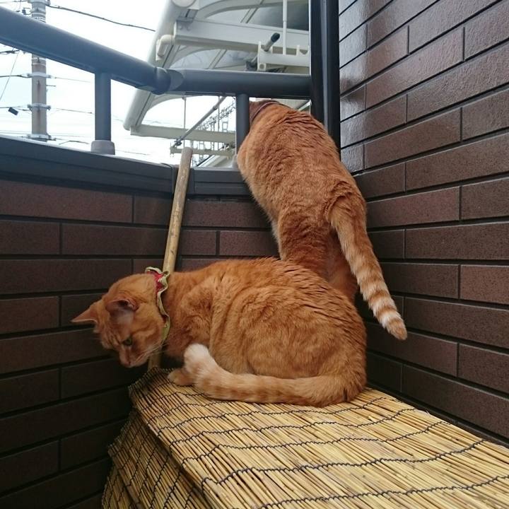 2a531ef3 62e4 42df 98d0 bad8acb3389b