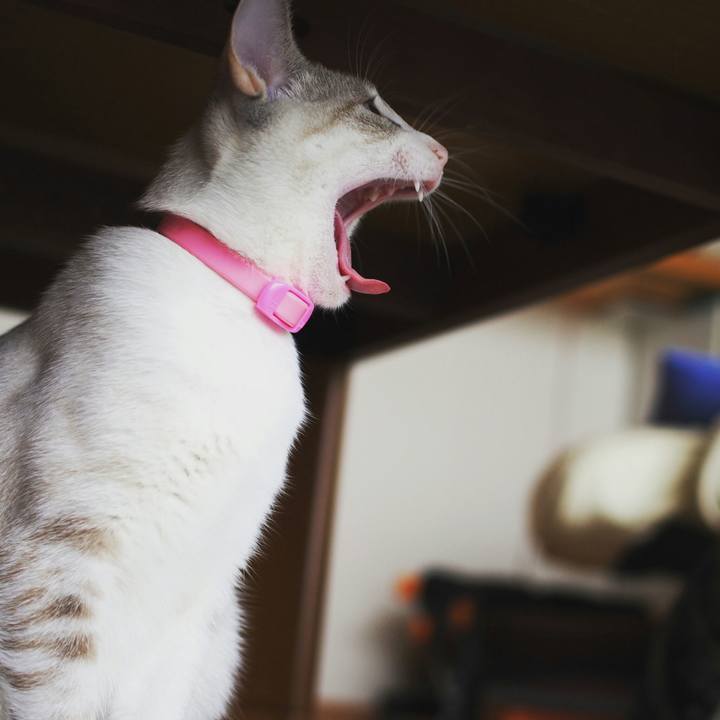 2a53dd1d b77c 4bcd bed5 43ba5aed3000