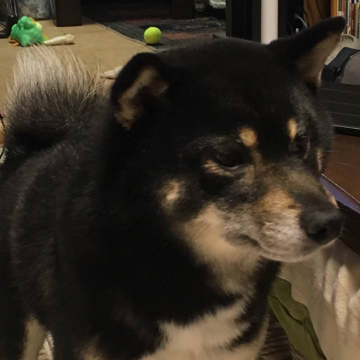 2a54903f 20c8 47da 9835 fecefd62dbc7