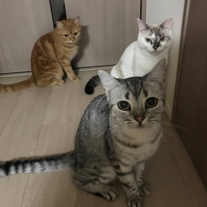 2a55a7de c87a 44c6 b6ac 5eaa9d63e0e5