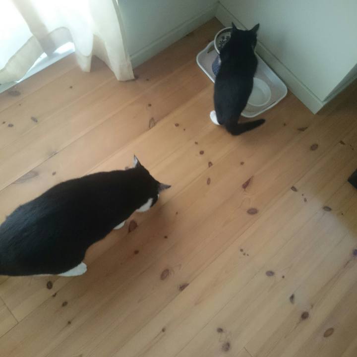 2a55ba1d 61be 427e 9388 7d746b1b8a9e