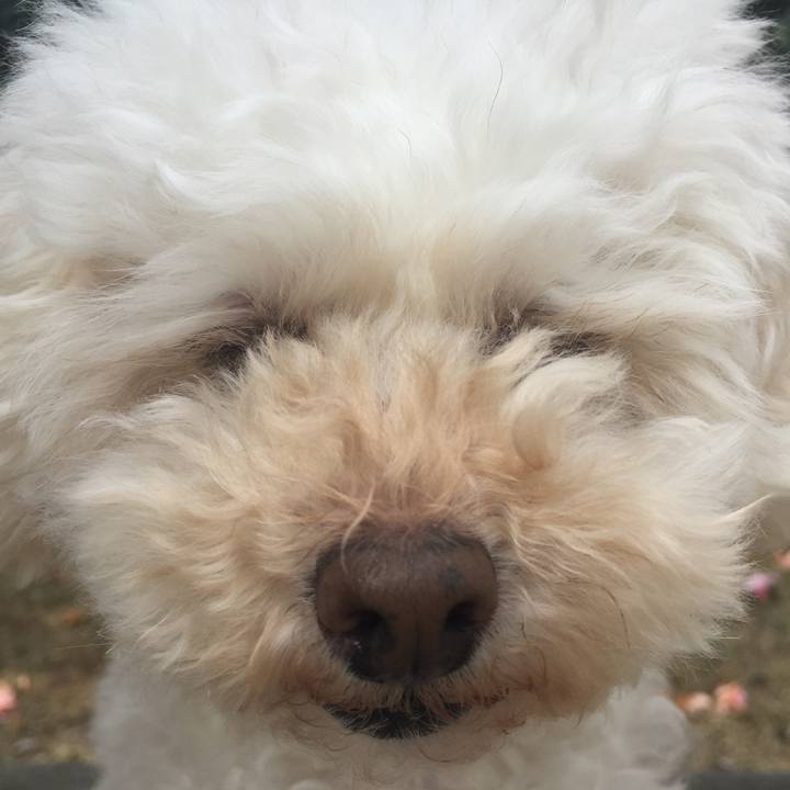 2a55f958 e730 4721 a58b b7053eedb8bf