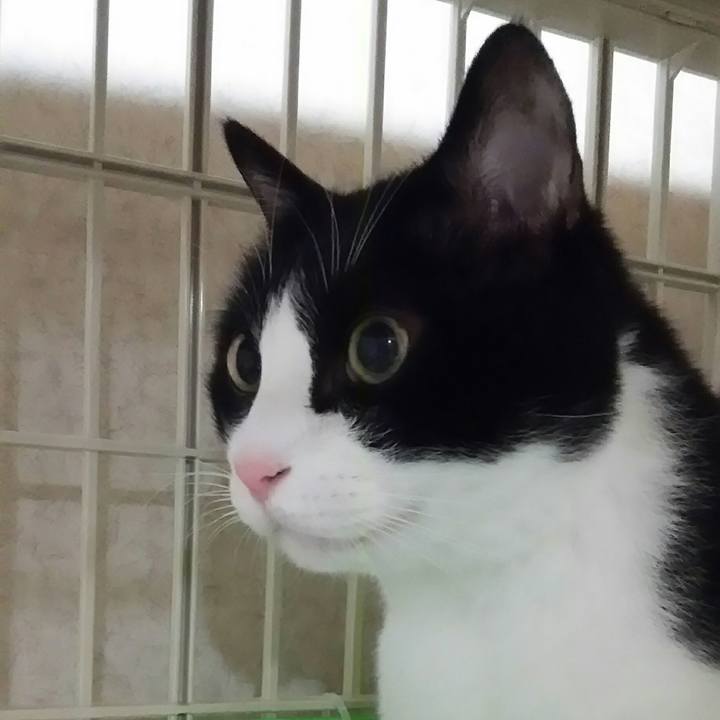 2a56039f c3c8 4612 81ab e9f458383052