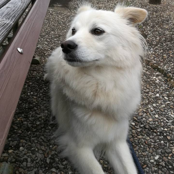 2a56bbac af8a 499b 9ab6 fce062f553fd