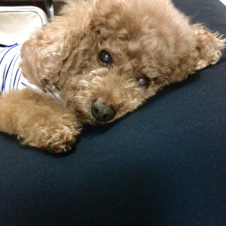 2a56bffa d9c6 46d4 9eac 02a5d5a39bd9