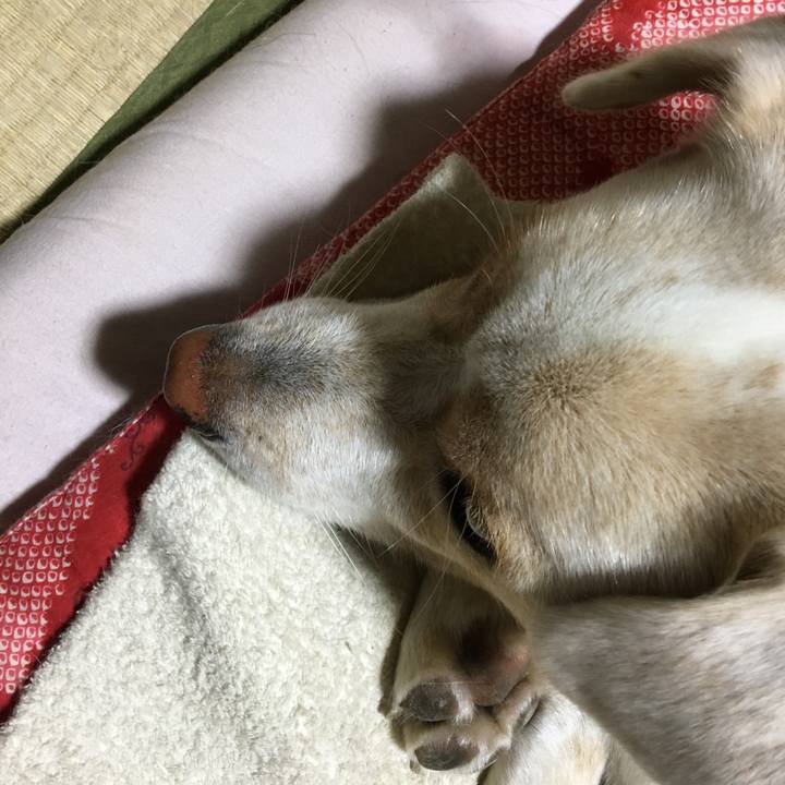 2a57c44f 0a45 4b85 8738 f93e983b1392