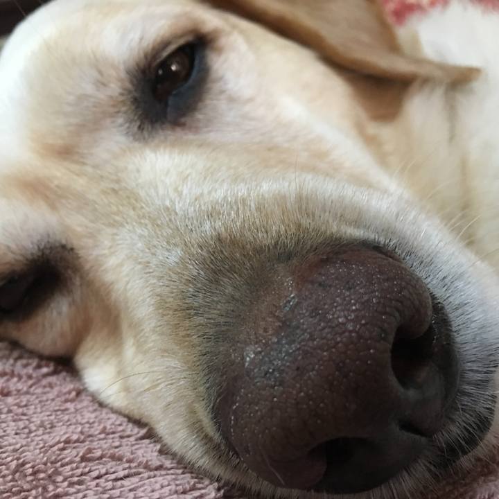 2a5827ea 5ed4 44cc 91f2 65d6a24b1bac