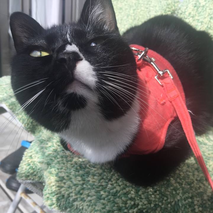 2a58b0f3 1b79 463d a343 af9bbf91c8f4