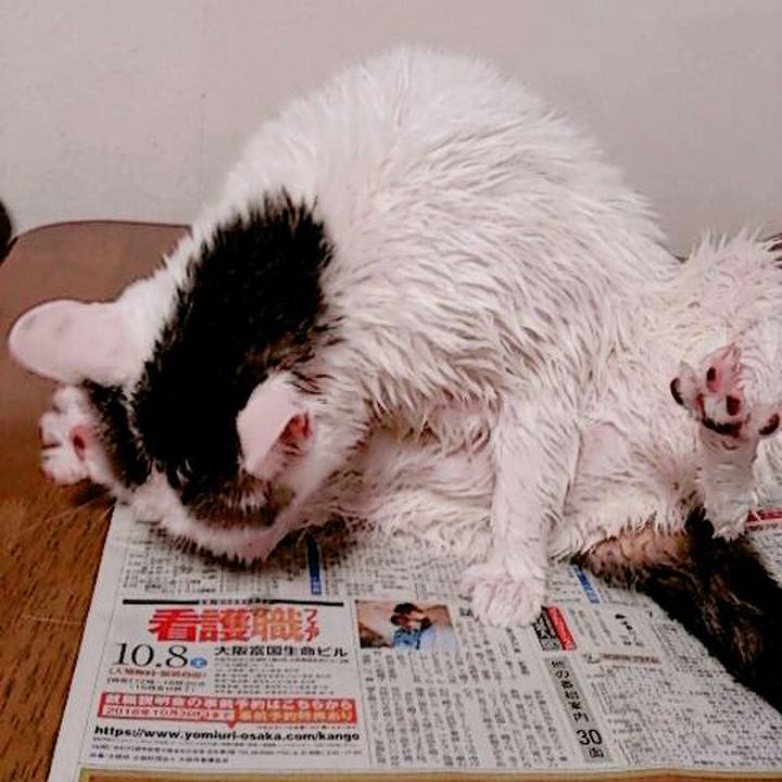 2a5914aa 25d1 4a21 9a10 ca471e896faf