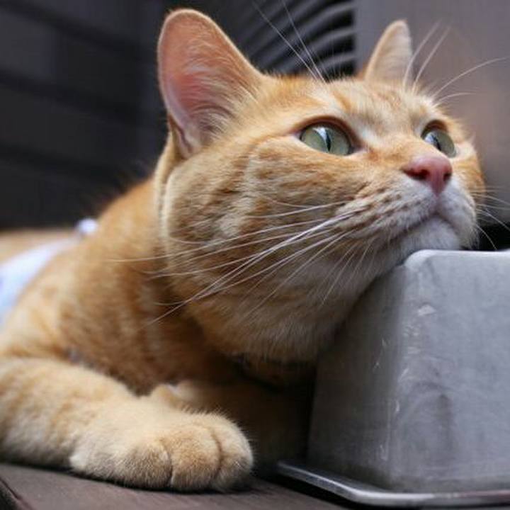 2a59156f 8bdd 450f bfdc 2cc25340217b