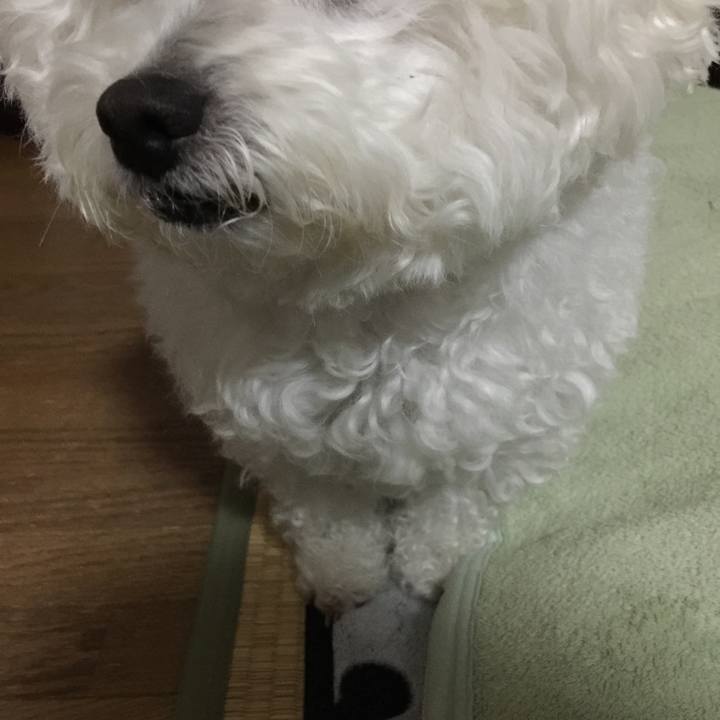 2a598111 8650 4ec2 8408 21de335b4662