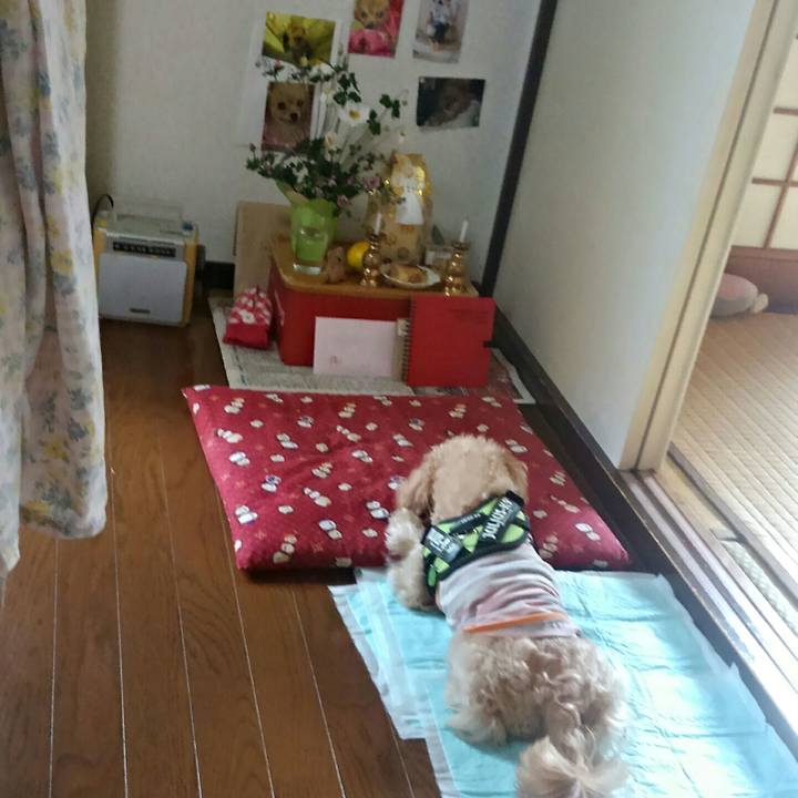 2a5a2a68 a216 43e1 87af 66f5d975a665