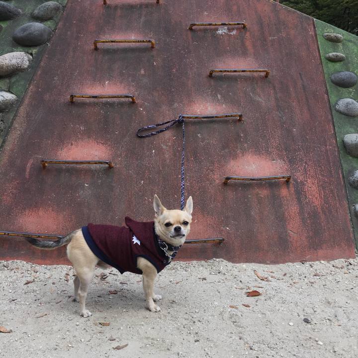 2a5a4fea 9246 456e 8e65 ca3fcebe91d9