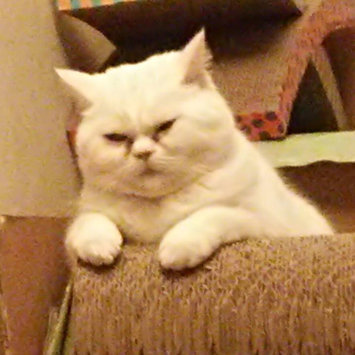 2a5a5805 33fa 4a17 93df 92193e51af3c